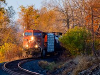 CP 8641 rounds the corner into a narrow slice of sunshine as it approaches downtown Belleville not long after sunrise.