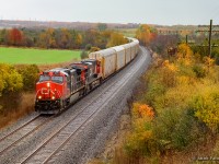 As the rain begins to fall, E271 rounds the curve approaching Newtonville Road, getting back up to speed after slowing for VIA 644 to slip by between a few freights.