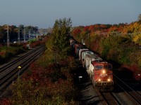 CP 8766 is solo power on a pint-sized CPKC 118 passing fall colours in Beaconsfield. 