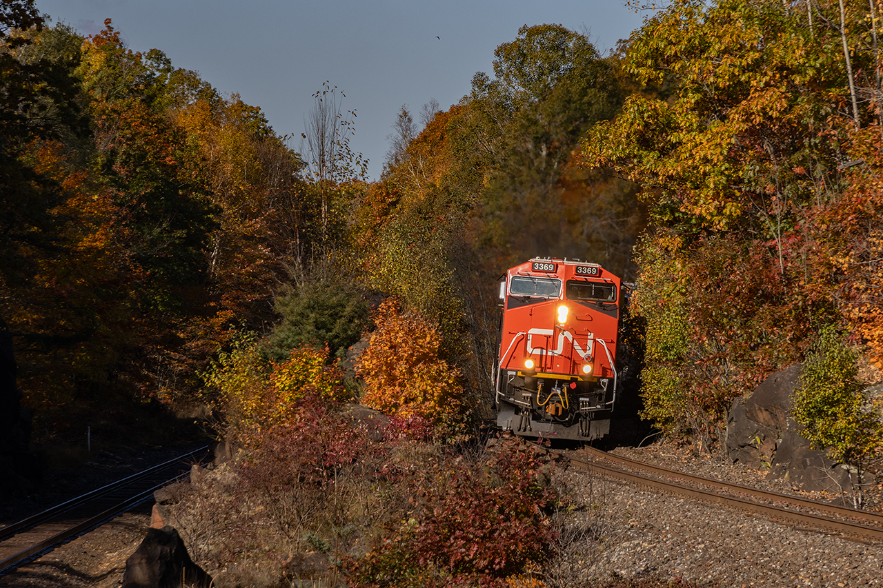 Fall colours are at their peak as 134 rumbles south through Muskoka's brilliance.