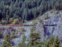 In the days before directional running, and GE's, CP was SD40-2's....plus the 25 F's. On the mainline out west, that was it. The only question was the number. For most unit trains, 2 or 3 plus 2 mid was standard. The tail end of this train is still on the Cisco bridge as coal loads head for Vancouver. 