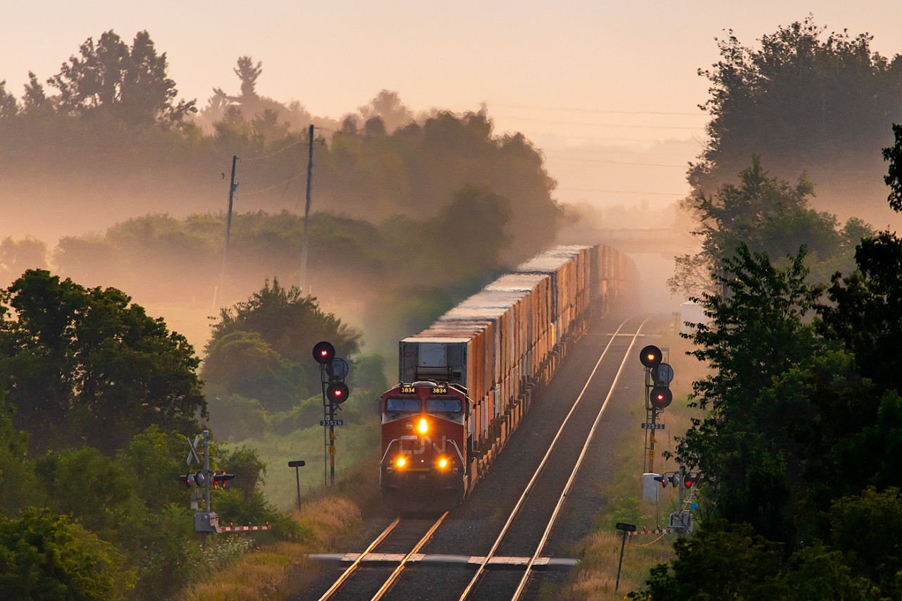 Just after sunrise and CN 3834 heads west through the mist covered fields near Trenton.