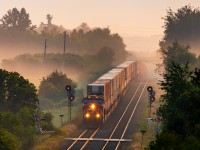 Just after sunrise and CN 3834 heads west through the mist covered fields near Trenton. 