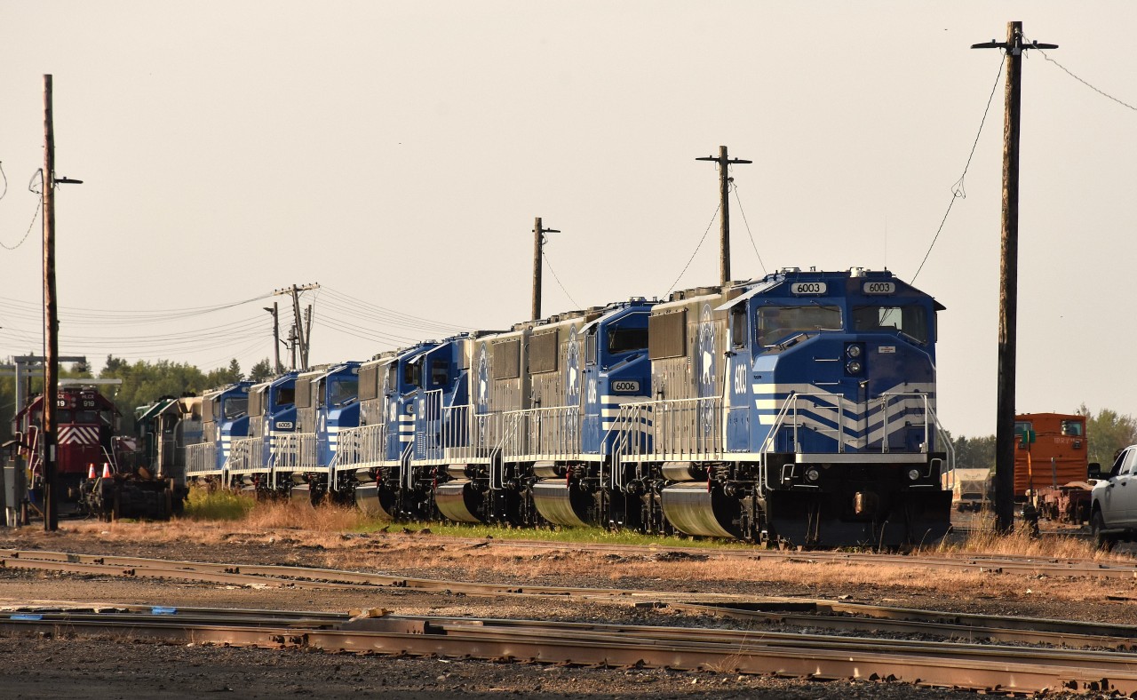 While up in the northern Manitoba town of The Pas, looking for Keewatin's new power, we of course checked out the yard in town. And there sat a long string of 'new' HBRY SD60M locos, seemingly being stored. (The CTG lists a dozen of them- 6000-6011) They apparently were being overlooked in favour of HLCX 'geeps' which while we were there powered the morning train north to Thompson.
It certainly would have been nice to see these attractively painted units in action.