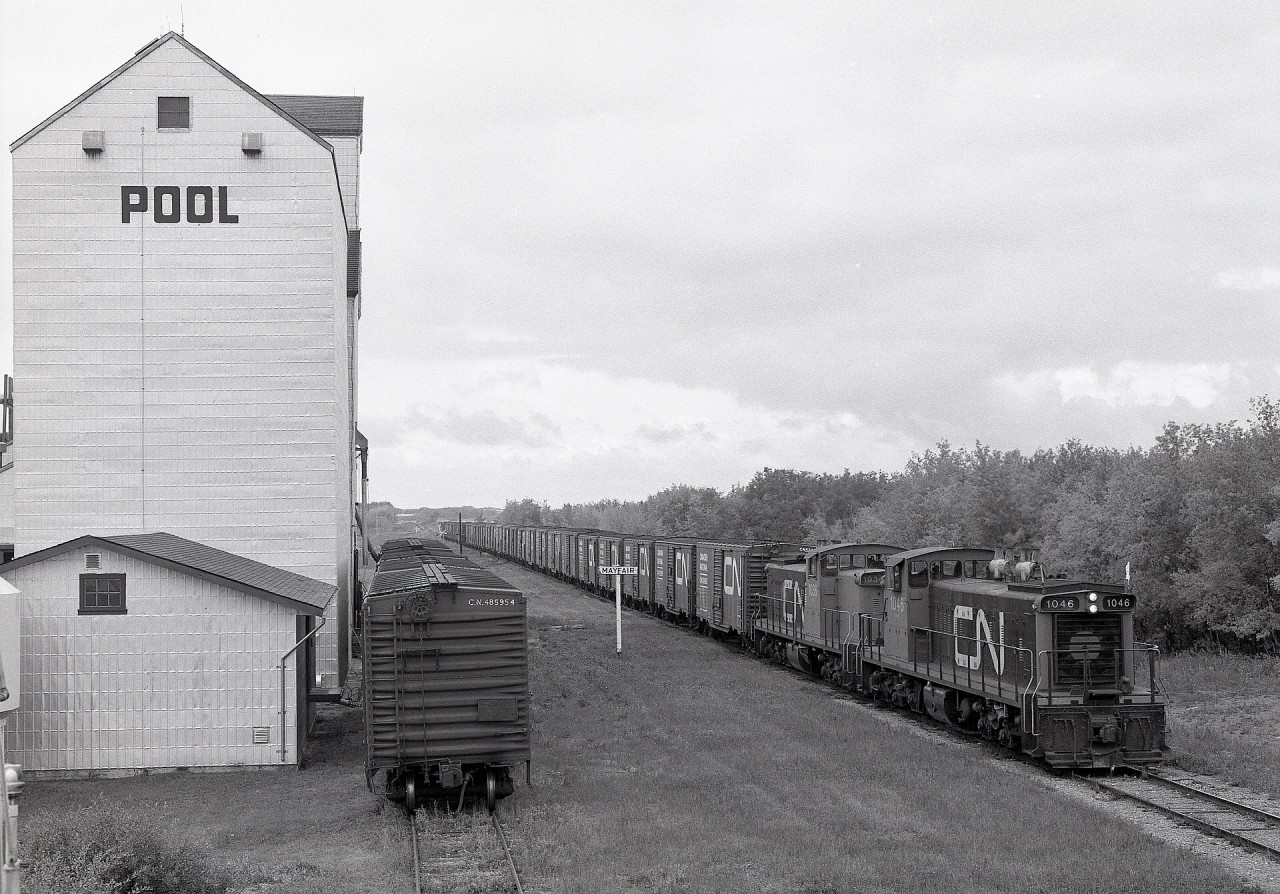 Fourteen miles east of the Rabbit Lake depot photo posted a week ago, and five years later, the hamlet of Mayfair experienced the passage of CN 1046 + 1036 and a long train of grain boxcar loads collected on a Loop Job assignment out of North Battleford, via the Blaine Lake sub. to Amiens Jct., then swinging westward on the Amiens sub. to Medstead, southward on the Robinhood sub. to the Blaine Lake sub. at Speers, then westward via Denholm to home terminal North Battleford.

In following that route on a map some years later, I learned that the tail end of that train was very close to where there had been a diamond crossing of CP’s Whitkow sub. (around GPS 52.98752, -107.60351) on its way east to Ravenhead, a line with minimal photographic evidence east of Redfield.