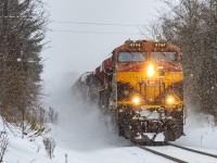 There's a small train back there somewhere. The beauty of snowday railroading is you can shoot anywhere because nothing 20 feet behind the lead unit is visible :)