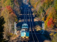 VIA 6451 leads the morning 50/60 combined train through a not so flat Northumberland County and past the rapidly changing autumn coloured trees.