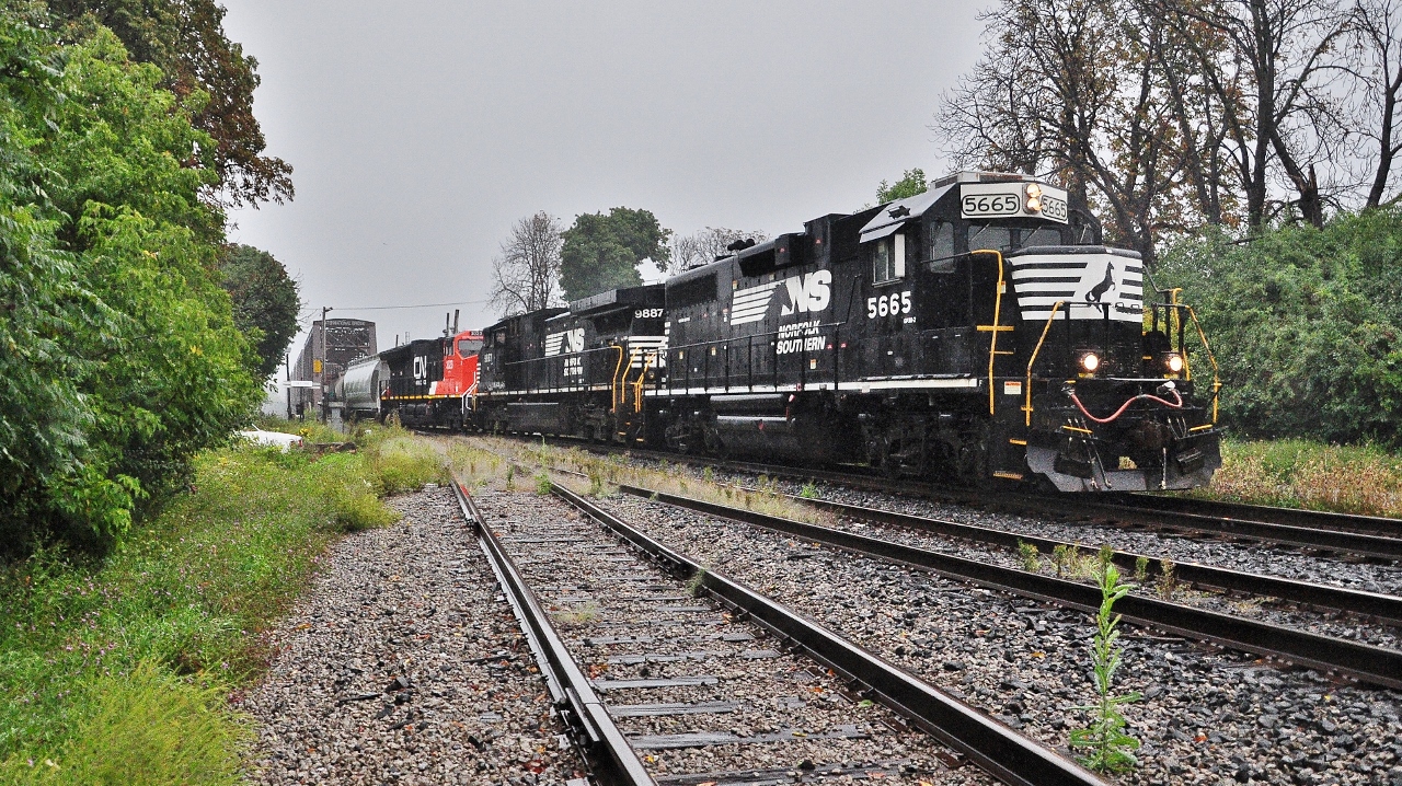 Onto home rails...


The NS transfer, NS 5665 – NS9887, deliver CN 3023


In the rain at Fort Erie, September 12, 2015 digital by S.Danko.


Looking spiffy: 


       ET44AC