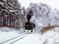 Headed west out of Caledonia, CNR 6218 and its excursion approach the crossing at Onondaga Townline Road with a Toronto - Paris UCRS excursion.



<br><br><i>Scan and editing by Jacob Patterson.</i>