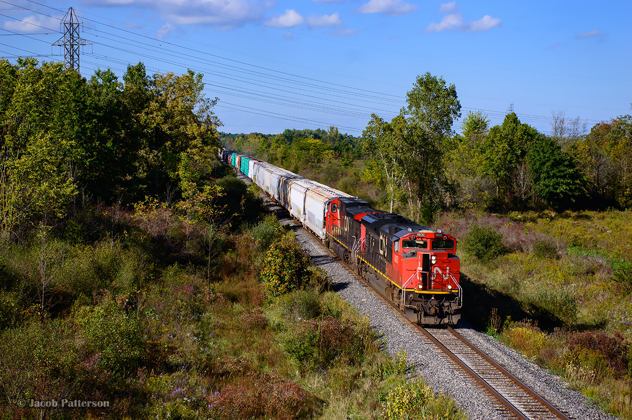 CN L531 approaches Southern Yard on the east side of Welland.