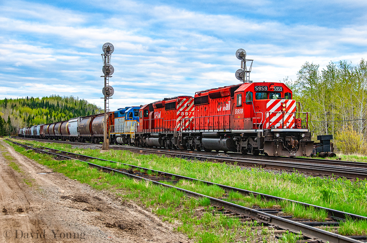 The greens are still fresh, bright green and its only the start of June in northwestern Ontario. Spring is still springing as grain empties work Kaministiquia- 23 miles west of Thunder Bay- lifting stored empties out of the south storage track with CP 5959- CP 5971- DH 7303.